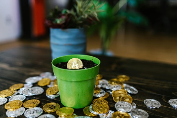 Gold Bitcoin-style coins growing out of dark soil, symbolizing staking rewards